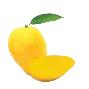 Mango - Bud