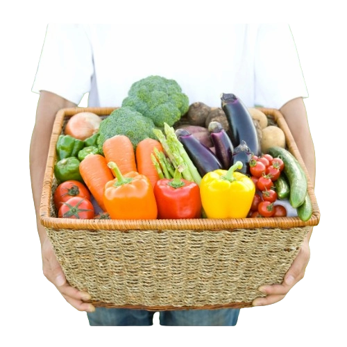 Vegetable basket