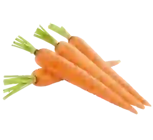 Carrot